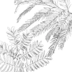 Parure De Lit Monstera Blanc Et Vert 240x220 Atmosphera -ATMOS Boutique parure de lit monstera blanc et vert 240x220 atmosphera 4